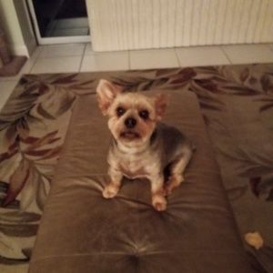 Meet your Posher, Michael